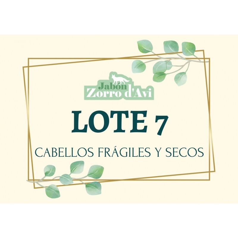 Lote 7 - Cabellos frágiles y secos